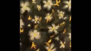 bed bugs - Original Song
