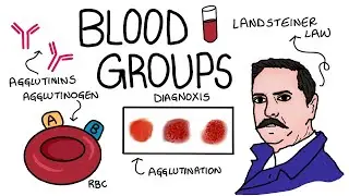 Blood groups- ABO blood grouping