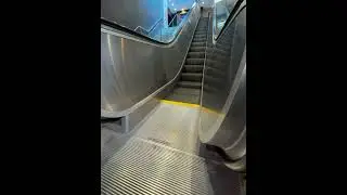 Escalator Startup #machine #mechanic #elevator #lift #mechanicalengineering #transportation