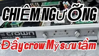 BÁO GIÁ… 10 mẫu crow Mỹ tuyển 0971998555