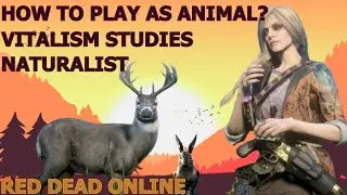Vitalism Studies - Red Dead Online