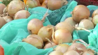 Zero Hunger Hero: Urban Food Connections of Utah