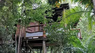Secrets on the Lake (tree houses) & Lake Baroon
