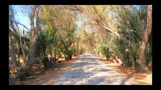 Bahrain in 5K - Bahrain Nature - Part 1