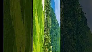 🙀 wow view👌🙏🏻landscape rice field , remote life of village , Kathmandu Nepal. #shorts