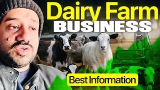 Dairy farm business information | Palai kio nahi karaha main | Haider&rsquo;s Divine Goat 
