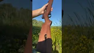 Mossberg 51 .22