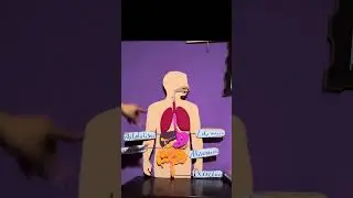 Farmacolog&iacute;a Sistema LADME farmacocinetica 