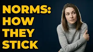 What Mechanisms Explain The Internalization Of Norms?