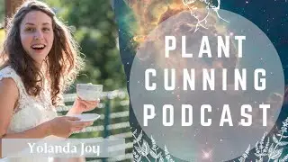 Ep.73: Yolanda Joy and the Herbal Entrepreneur