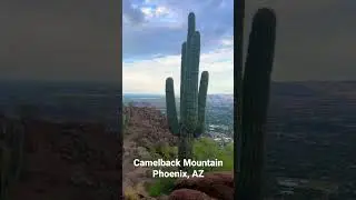 Camelback Mountain Phoenix AZ 2022 Hike.