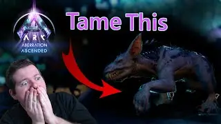 Ark How to tame Ravagers | The Dog of Ark Survival Ascended | Quickly and Easily With The Best Trap!