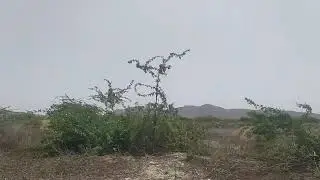 MUBARAK VILLAGE - Alternate Route from Rais Goth