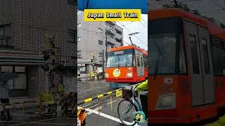 This is How the Japan Small Train Look like! #shorts #short #train