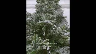 12' Alpine Fir Snowy Tree Unlit