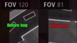 Cod Vanguard FOV bug