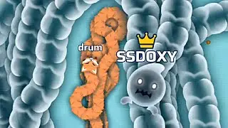 SSDOXY VS DRUM 🐍 || SNAKE IO BEST GAMEPLAY || SSDOXY 