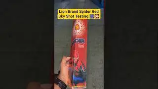 Lion Brand Spider Red Sky Shot Testing 🎆🎇 #skyshottesting #fireworks #fireworkstesting #crackers