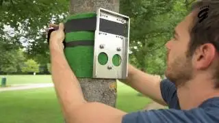 Portable Pull-up Bar and Dip Bar - Grumpyfoot