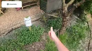 TIP 4 - Plant hedges - Guide to a Hedgehog Friendly Garden - HWHS
