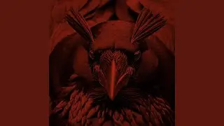 Red Raven