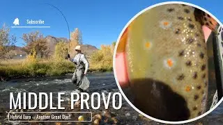Utah Fly Fishing | Another GREAT Day with the Hybrid Euro -- SUCCESS!