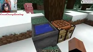 Minecraft 1.20.5 Release Review - Armadillos, New Wolf Armor, New Wolf Variants and More