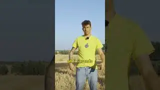 Linguaggio alieno👽