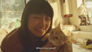 GRAVITY CAT