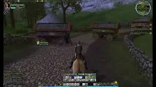 LOTRO - Midsummer Festival - Delving Fields Midsummer Run