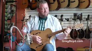 New Blues Hardware Octave Mandolin no OM-002