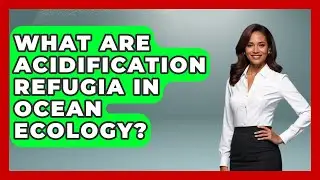 What Are Acidification Refugia In Ocean Ecology? - Explaining Ecology