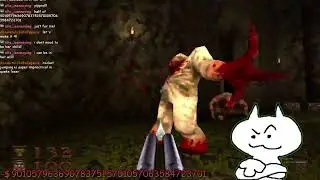 playing the game quake.