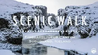 Fja&eth;r&aacute;rglj&uacute;fur Canyon | Su&eth;urland | Iceland【SCENIC WALK】