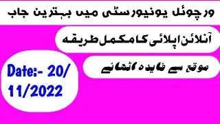 Virtual University jobs 2022