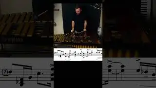 Walking Home #vibraphone solo.  #music #percussion #musicalinstruments