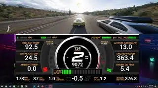 Motec c1812 Realdash Setup for Forza Horizon 5 Telemetry