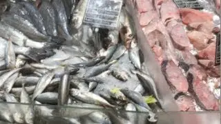 Dorschangeln Folge 7: Dorschleber und Rogen als Konserven | Fischtheke im portugiesischen Supermarkt