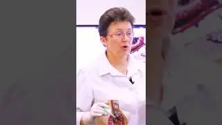 Изучение заболеваний костно мышечной системы профилактика и восстановление