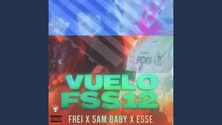 VUELO FSS12