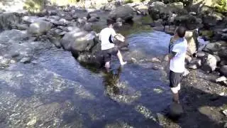 High sweden bridge shennanigans