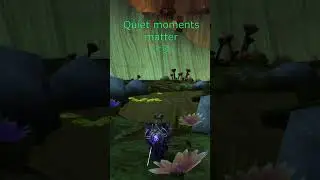 Quiet moments matter ❤️ #warcraft #gaming  #relaxing #ambient #peace #mindfullness