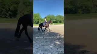 mon premier amour 😝 #horse #equestrian #horseriding #cheval #trend #&eacute;quitation #horsejumping #pony