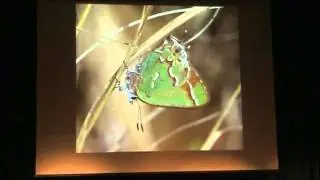 Bringing Nature Home with Doug Tallamy