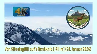 Vorarlberg: von Sibratsgfäll auf‘s Renkknie [1411 m] (24. Januar 2026)