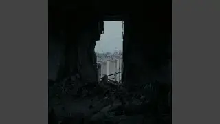 Human