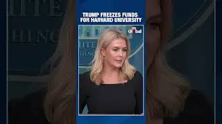 Trump Freezes $2.2B Funds For Harvard University Over Rising Antisemitism | #shorts