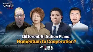 Different AI Action Plans: Momentum to Cooperation?