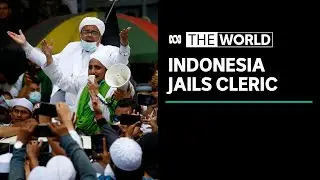 Controversial Indonesian cleric Rizieq Shihab jailed for 8 months over COVID breaches | The World