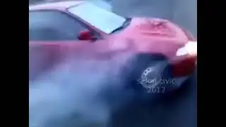 polski clvic.3gp